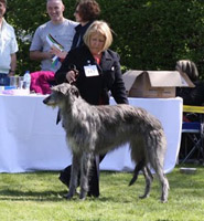 WOLFSCASTLE CILYDD AY GHYLLADARE